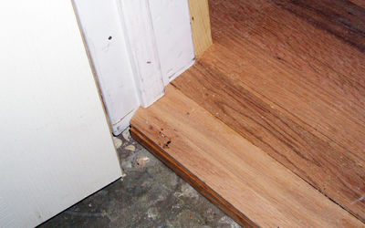 Oak Hardwood Floors